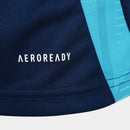 Camisa Flamengo 25/26 Treino Adidas Masculina - Marinho